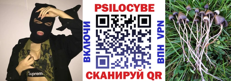 Псилоцибиновые грибы ЛСД  Ревда 